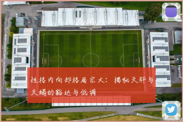 性格内向却格局宏大：揭秘天秤与天蝎的豁达与低调