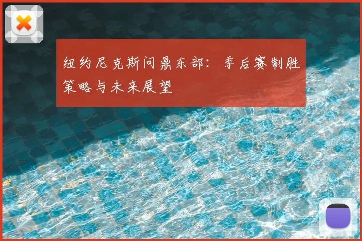 纽约尼克斯问鼎东部:季后赛制胜策略与未来展望