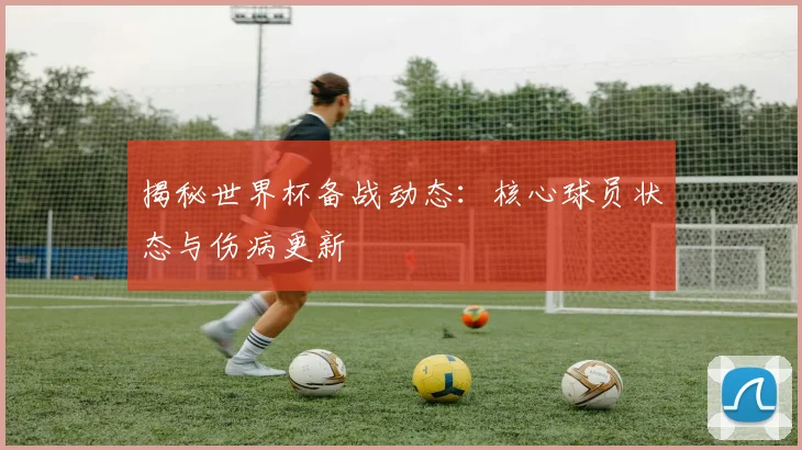 揭秘世界杯备战动态:核心球员状态与伤病更新
